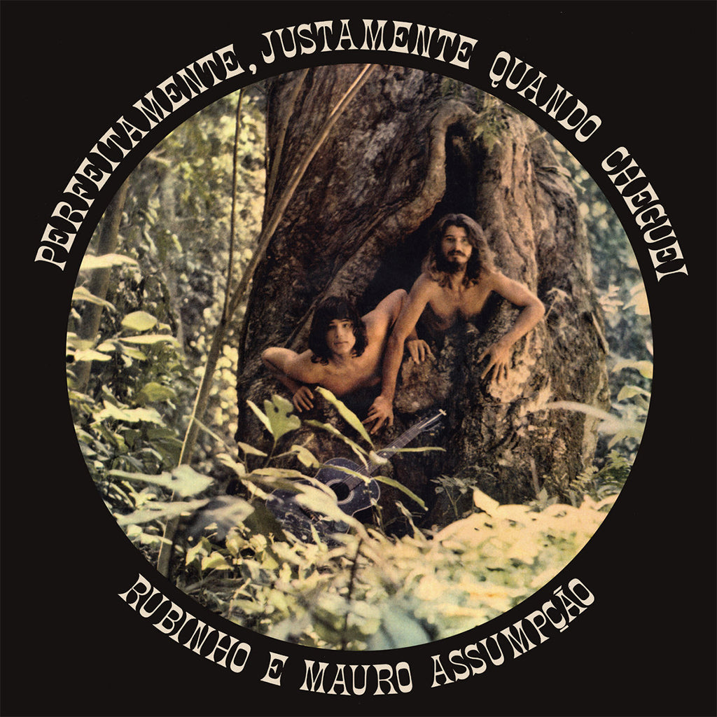 RUBINHO E MAURO ASSUMPCAO - Perfeitamente, Justamente Quando Cheguei (2023 Mr Bongo Reissue) - LP - Vinyl