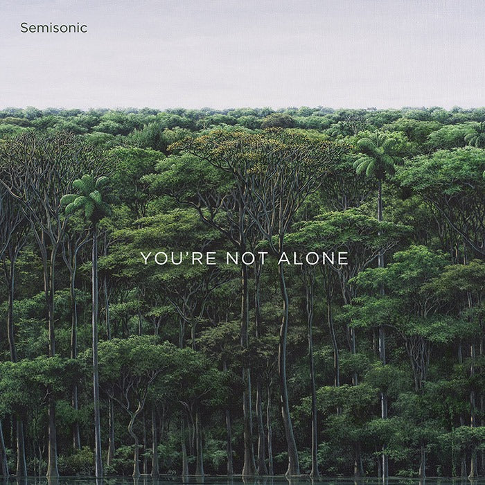 SEMISONIC - You're Not Alone - 12" - Vinyl