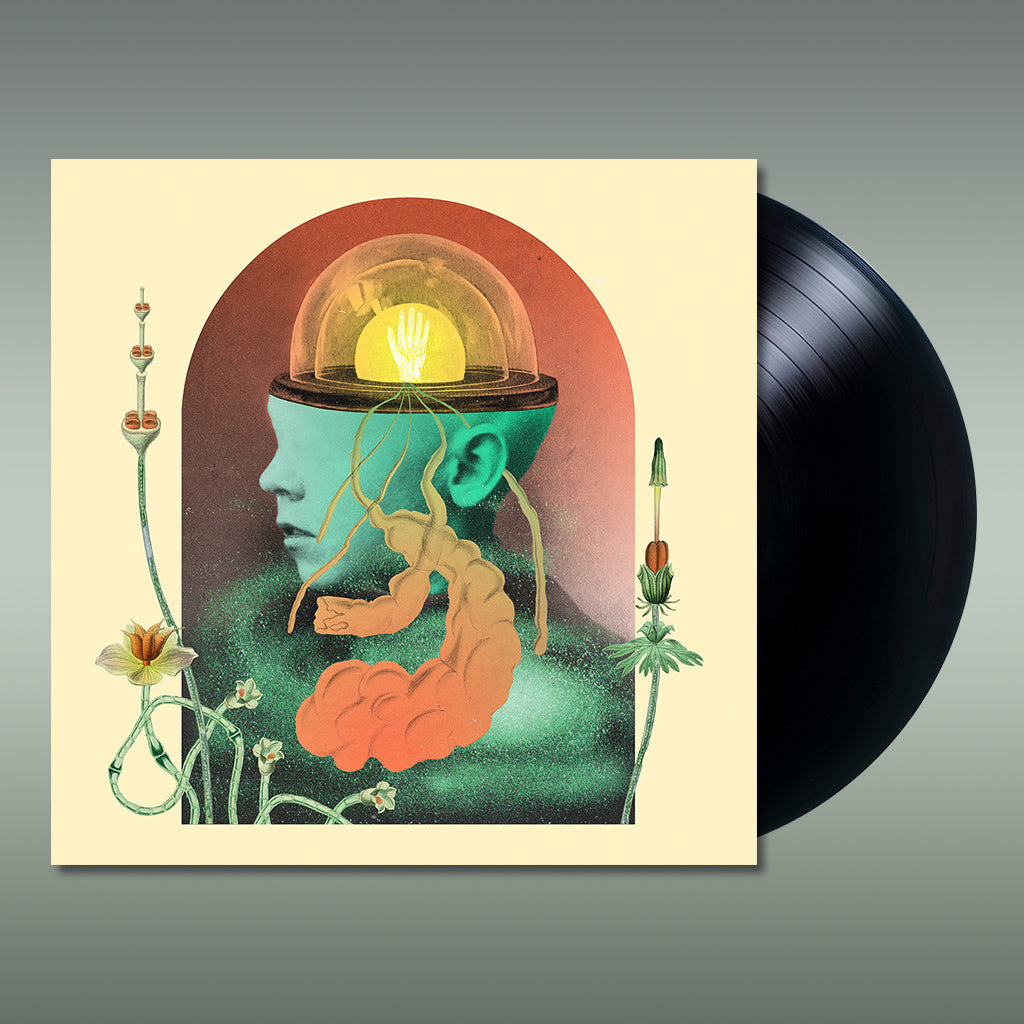 SALAMI ROSE JOE LOUIS - Akousmatikous - LP - Vinyl [MAY 19]
