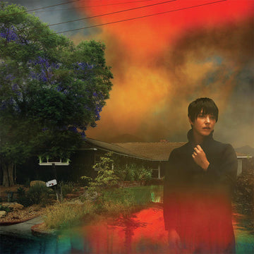 SHARON VAN ETTEN - We've Been Going About This All Wrong - LP - Black Vinyl