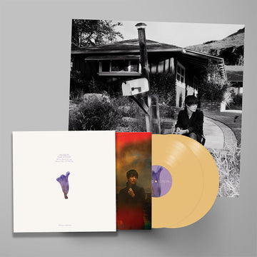 SHARON VAN ETTEN - We've Been Going About This All Wrong - Deluxe Ed. (w/ 4 Bonus Tracks, Poster & Etching) - 2LP - Custard Vinyl