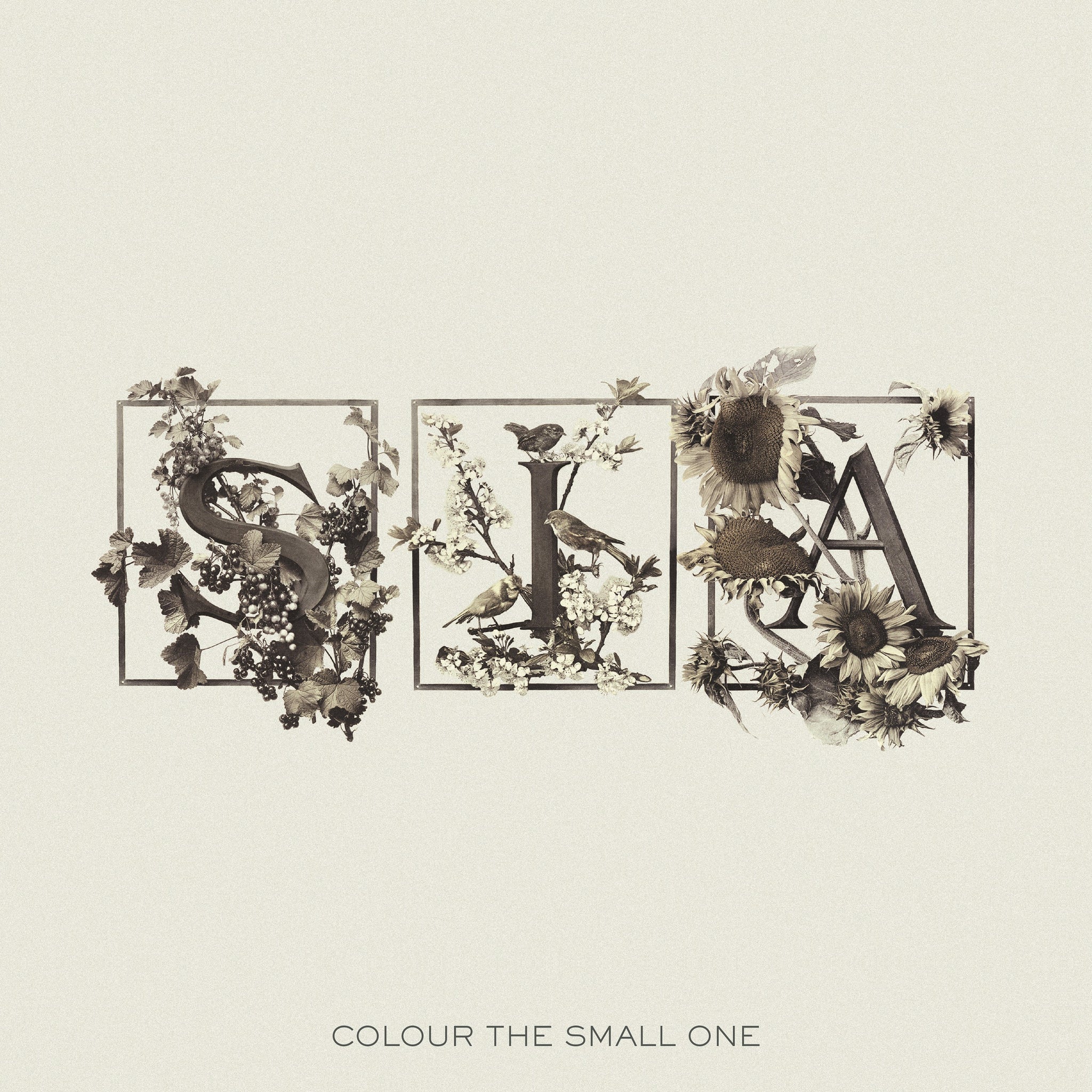 SIA - Colour The Small One - 2 LP - White and Transparent vinyls  [RSD 2024]
