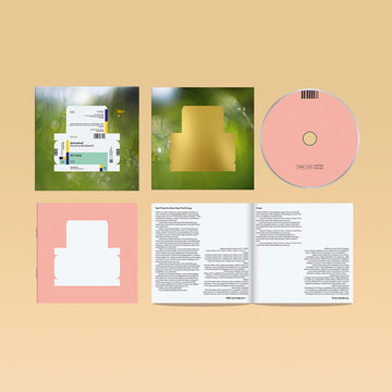 SPIRITUALIZED - Everything Was Beautiful - CD