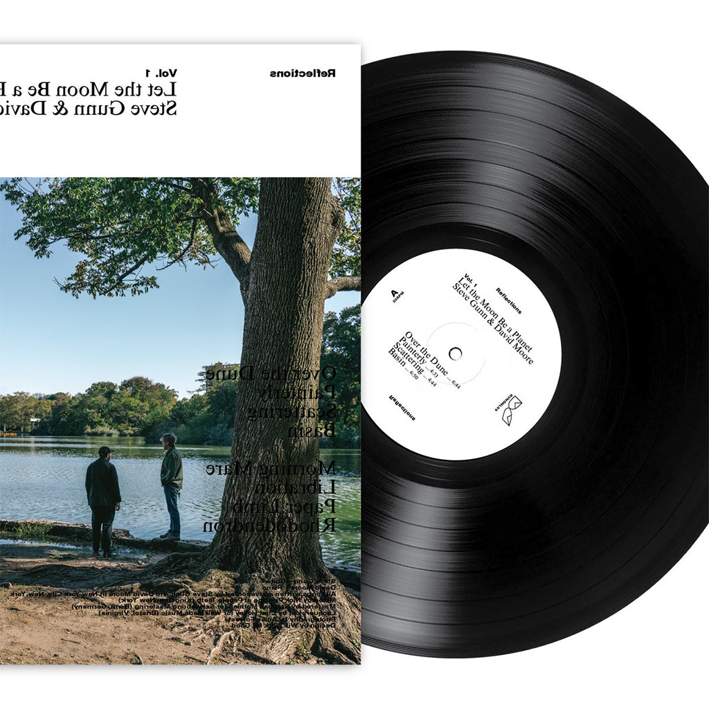 STEVE GUNN & DAVID MOORE - Let The Moon Be A Planet - LP - Vinyl
