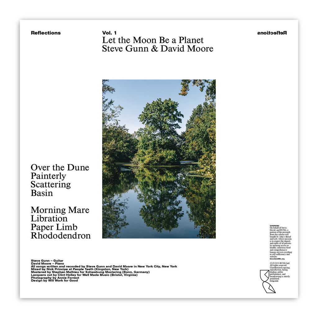 STEVE GUNN & DAVID MOORE - Let The Moon Be A Planet - LP - Vinyl