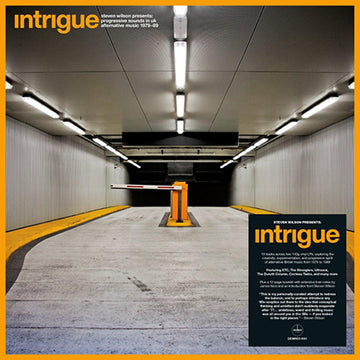 VARIOUS / STEVEN WILSON PRESENTS - Intrigue - Progressive Sounds In UK Alternative Music 1979–89 (Highlights) - 2LP - Vinyl