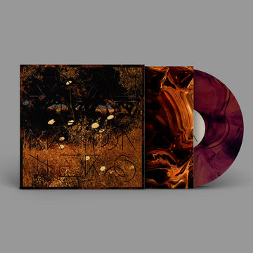 SZUN WAVES - Earth Patterns - LP - Brown Smoke Vinyl