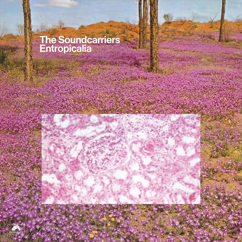 THE SOUNDCARRIERS - Entropicalia (2022 Repress) - LP - Vinyl
