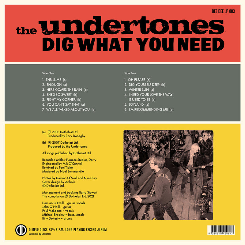 THE UNDERTONES - Dig What You Need - LP - Vinyl