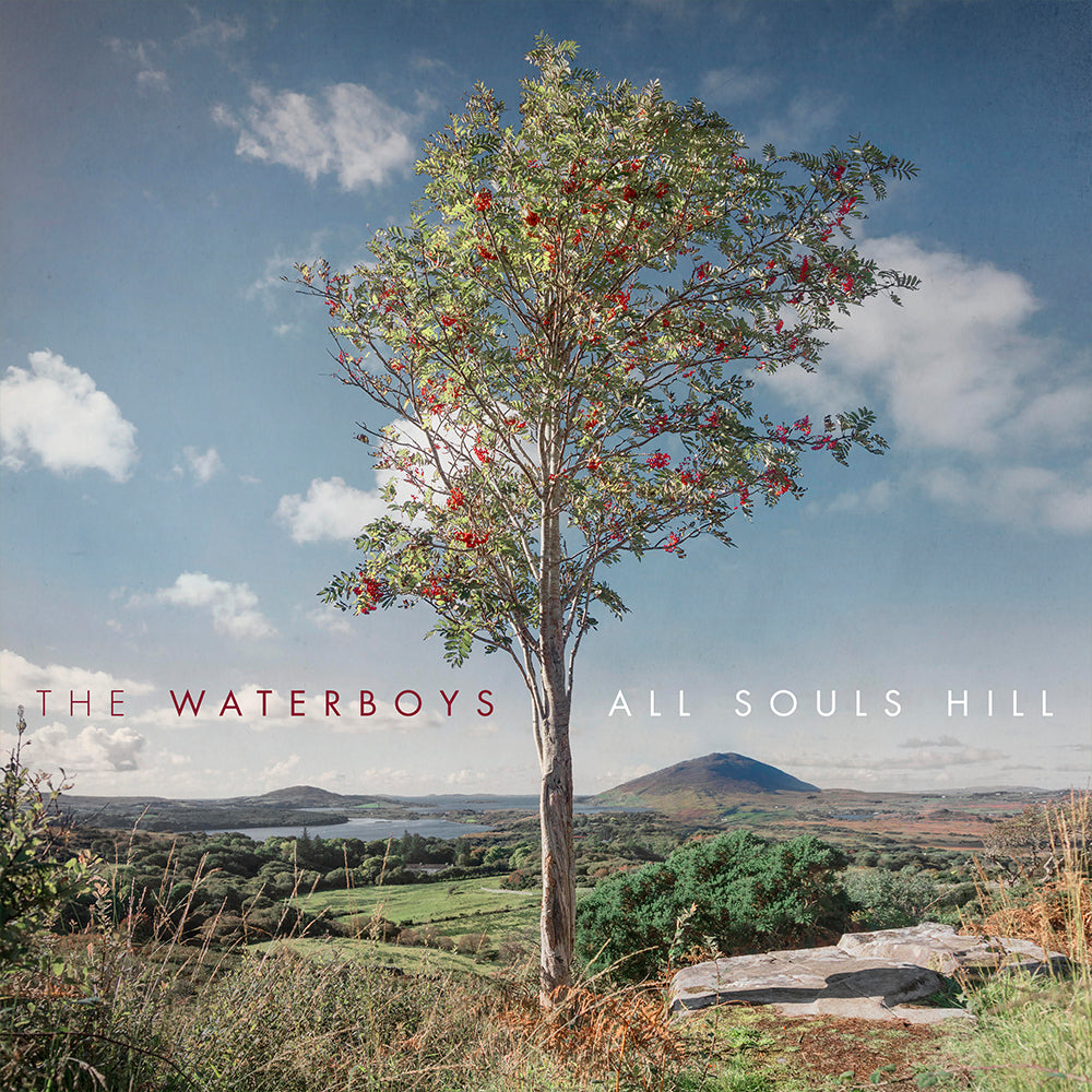 THE WATERBOYS - All Souls Hill - LP - Vinyl