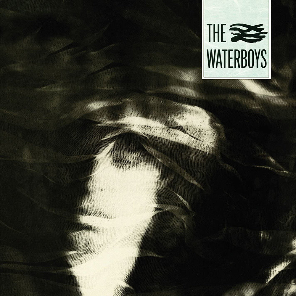 THE WATERBOYS - The Waterboys - LP - Vinyl