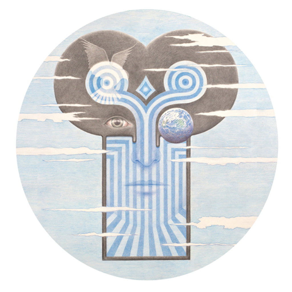 THE CHAMELEONS - What Does Anything Mean? Basically - Collector's Edition - LP - Picture Disc Vinyl