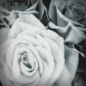 THE MOUNTAIN GOATS - All Eternals Deck (2023 Reissue) - LP - Vinyl [MAY 26]