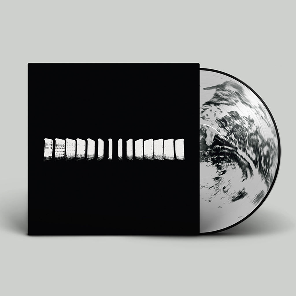 TURTLE - Landmass (w/ A2 Poster insert) - LP - Picture Disc Vinyl