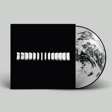 TURTLE - Landmass (w/ A2 Poster insert) - LP - Picture Disc Vinyl