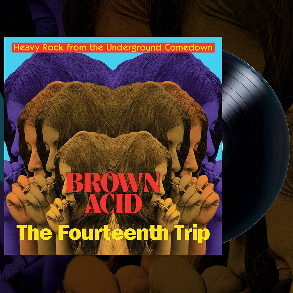 VARIOUS ARTISTS - Brown Acid: The Fourteenth Trip - LP - Black Vinyl