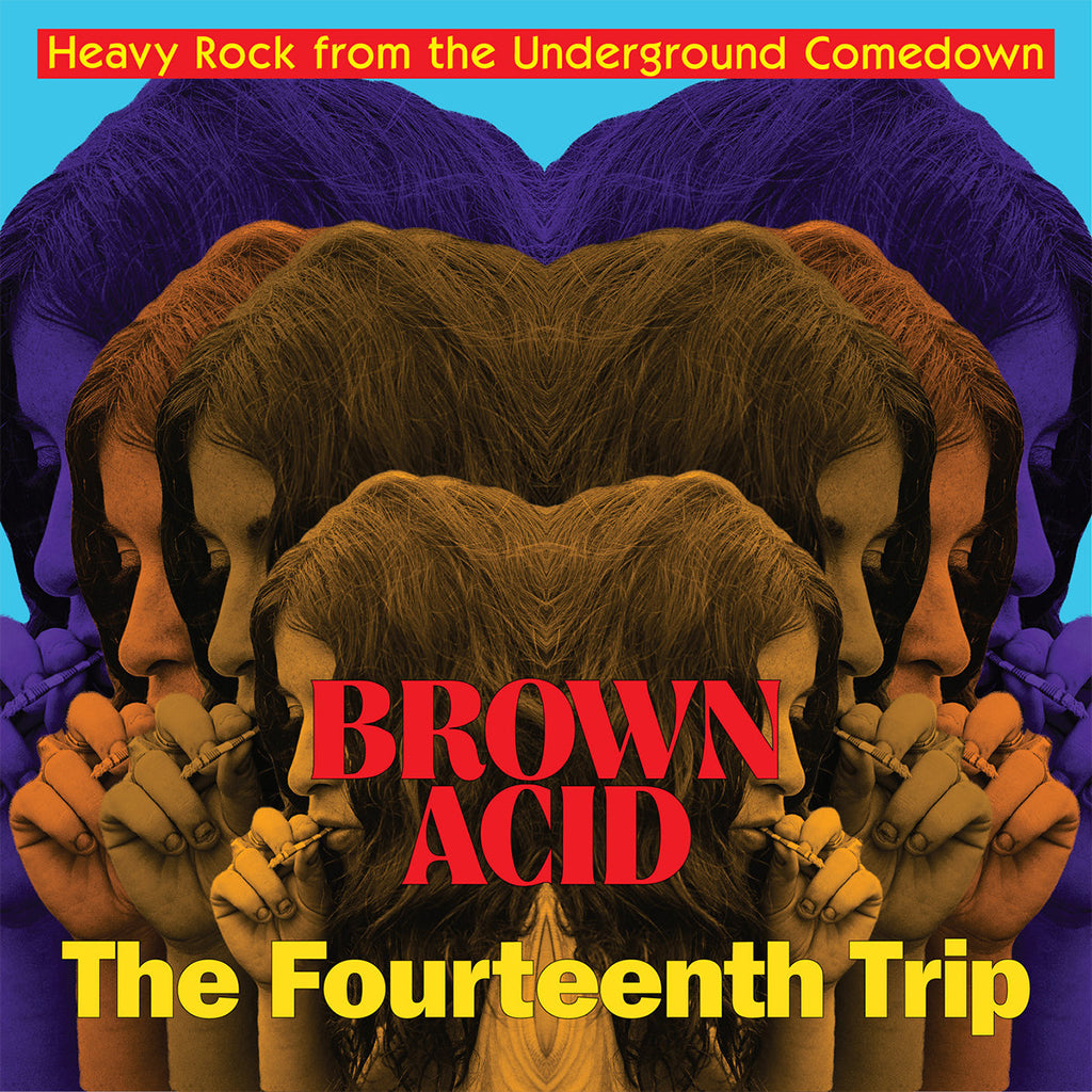 VARIOUS ARTISTS - Brown Acid: The Fourteenth Trip - LP - Black Vinyl