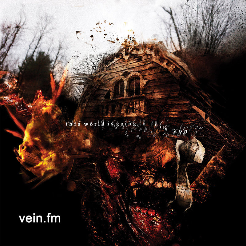VEIN F.M. - This World Is Going To Ruin You - LP - Gatefold Red Vinyl