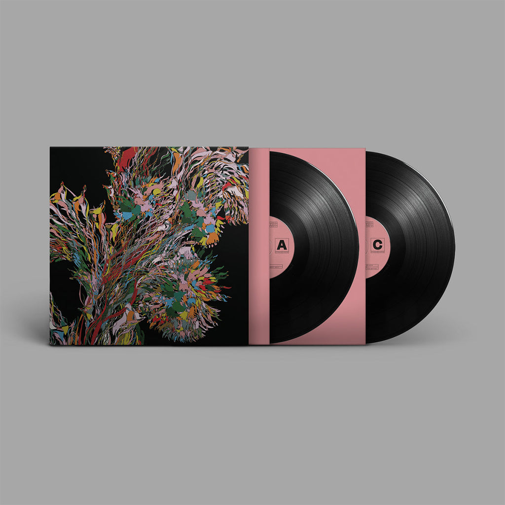 WEVAL - Remember - 2LP - Gatefold Vinyl