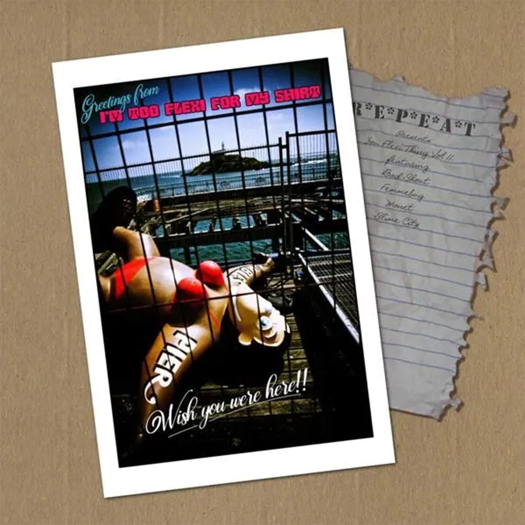 VARIOUS - You Flexi Thing Vol. 11: I'm Too Flexi For My Shirt - 7" - Blue Flexi Disc [RSD23]