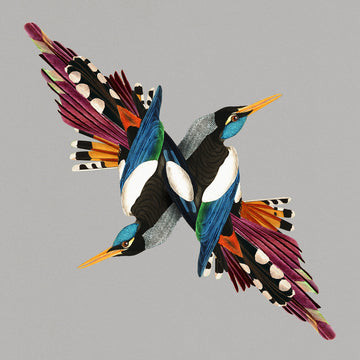 SHIRE T - Tomorrow’s People - LP - Vinyl