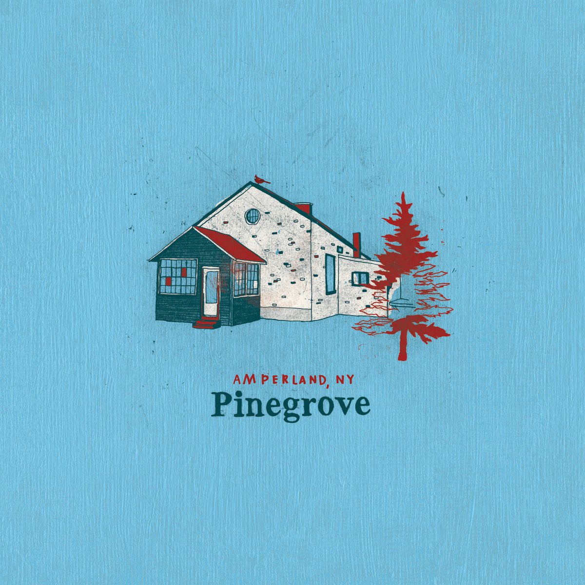 PINEGROVE - Amperland, NY - 2LP - Vinyl