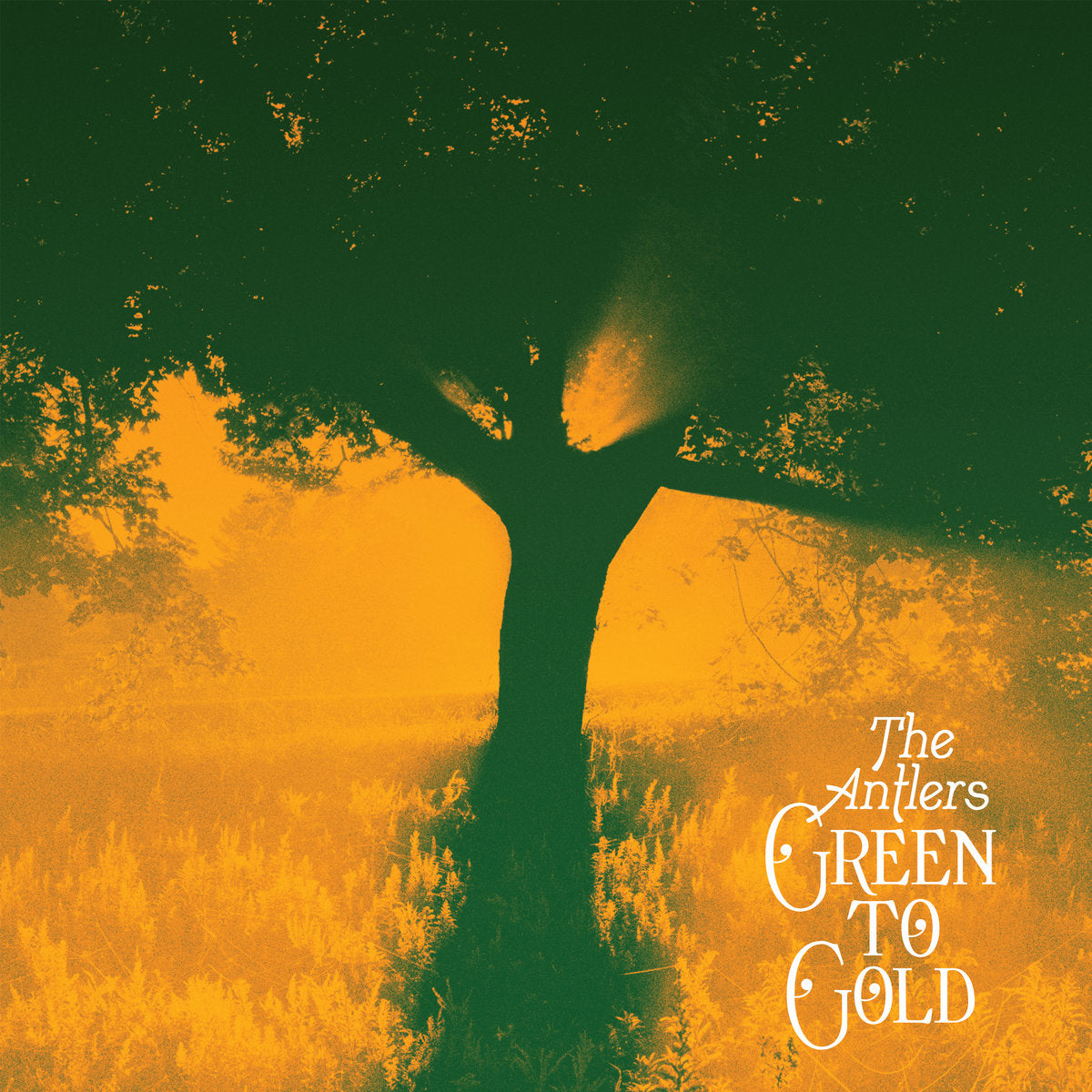 THE ANTLERS - Green To Gold - LP - Gold Vinyl