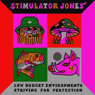 STIMULATOR JONES - Low Budget Environments Striving For Perfection - LP - Vinyl