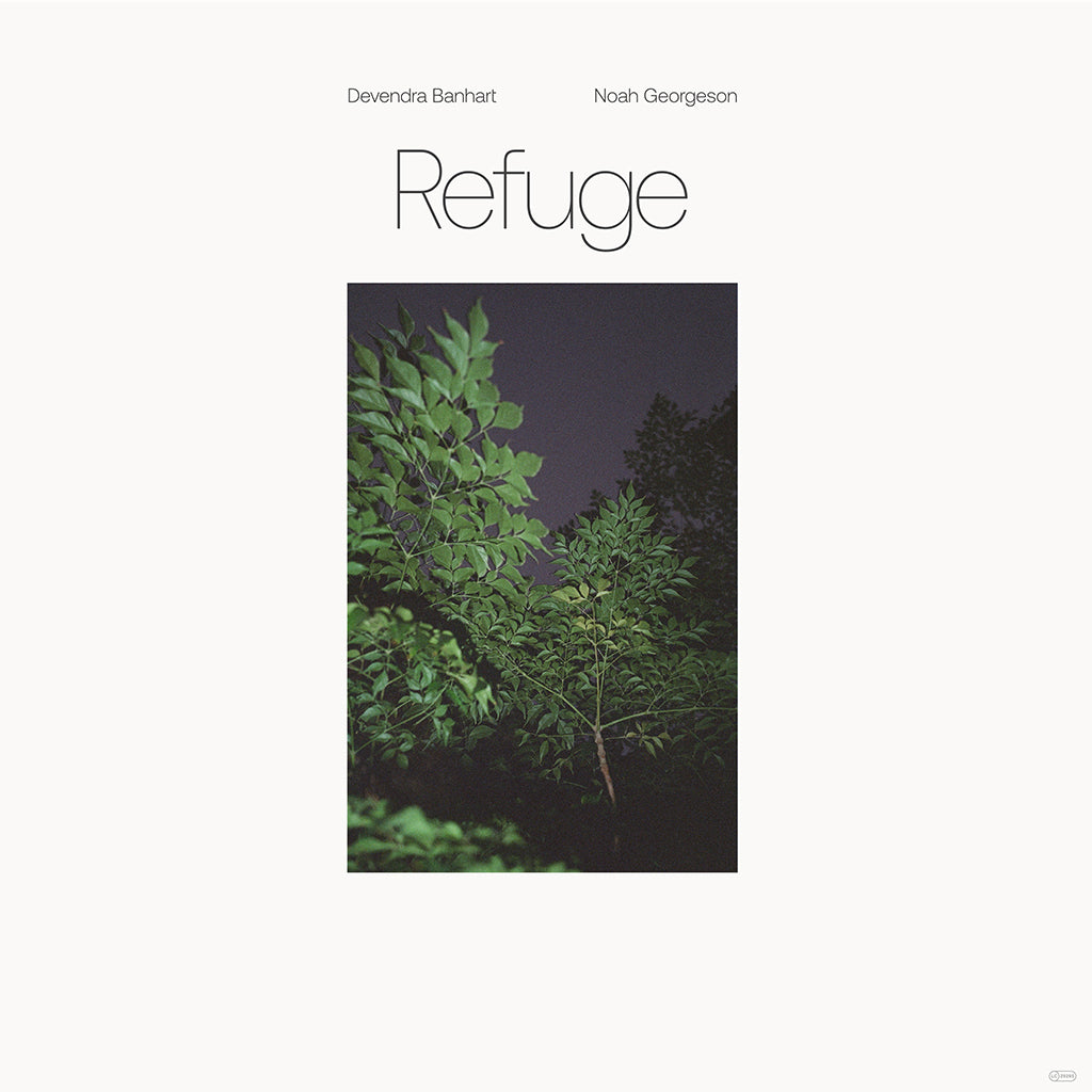 DEVENDRA BANHART & NOAH GEORGESON - Refuge - 2LP - Blue Seaglass Wave Translucent Vinyl