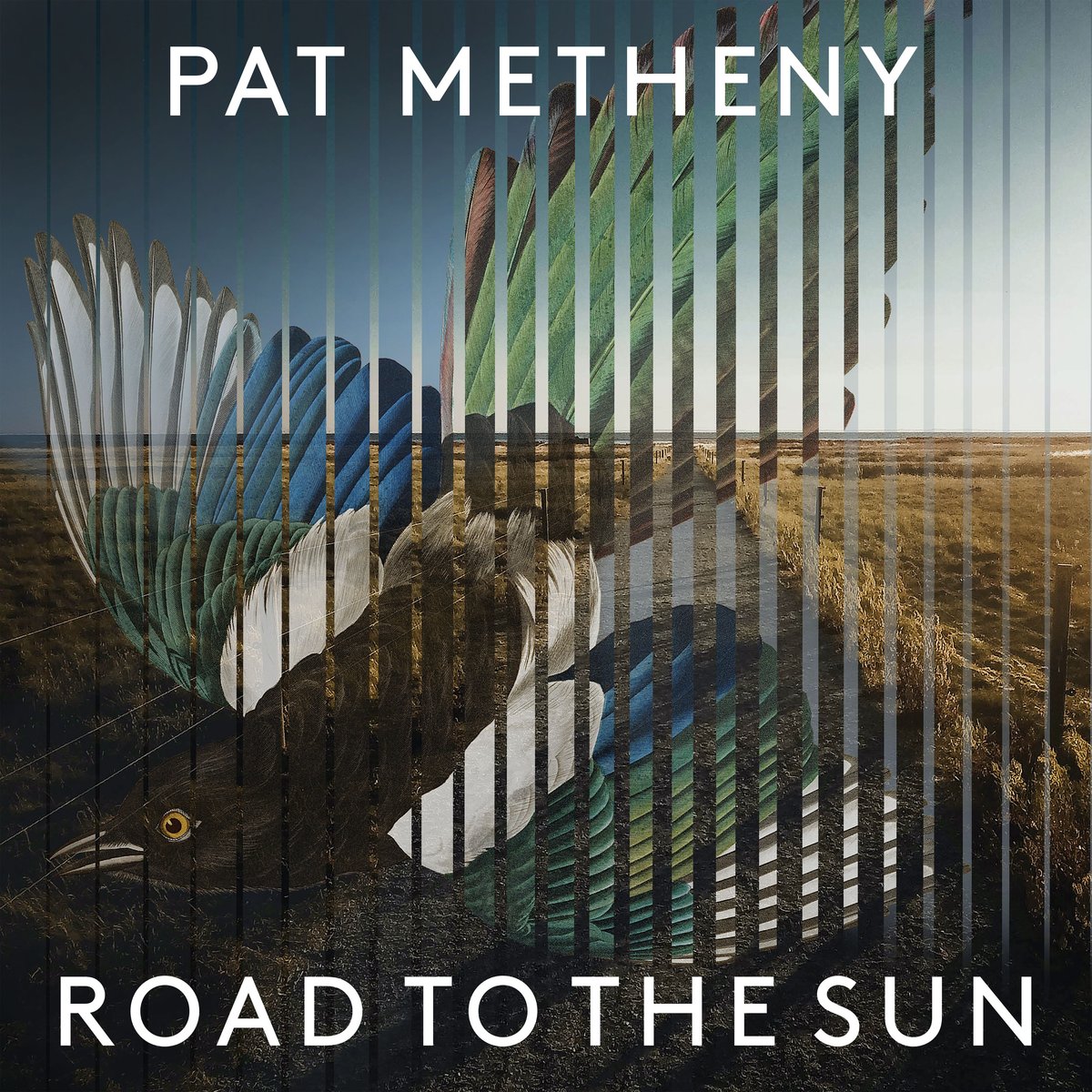 PAT METHENY - Road to the Sun - 2LP - Vinyl