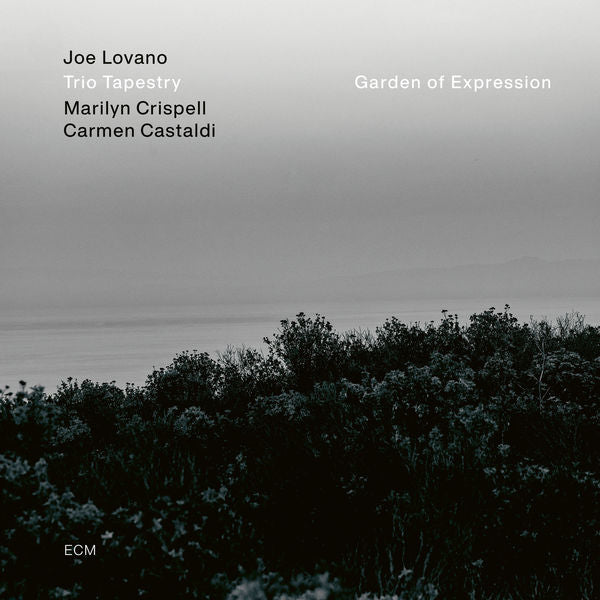 JOE LOVANO - Garden of Expression - LP - Vinyl